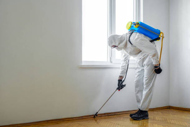 Best Cockroach Control Services  in West Deland, FL