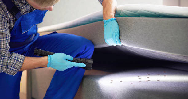 Best Wasp Removal Services  in West Deland, FL