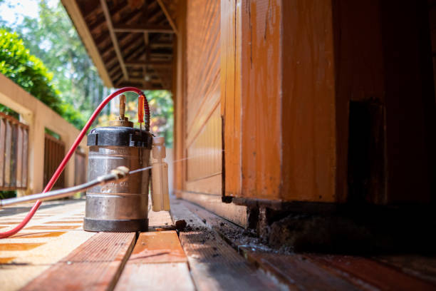 Best Pest Prevention Services  in West Deland, FL