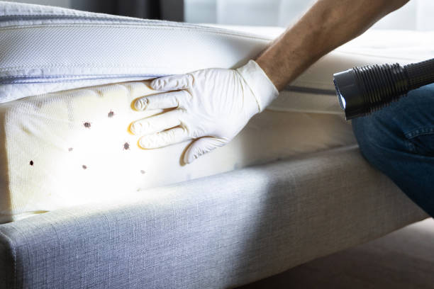 Best Cockroach Control Services  in West Deland, FL