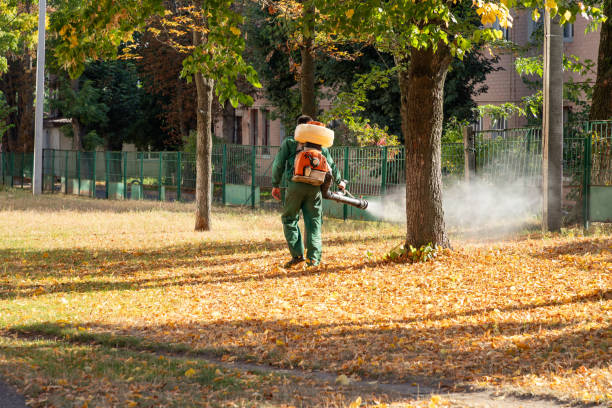 Best Commercial Pest Control Services  in West Deland, FL