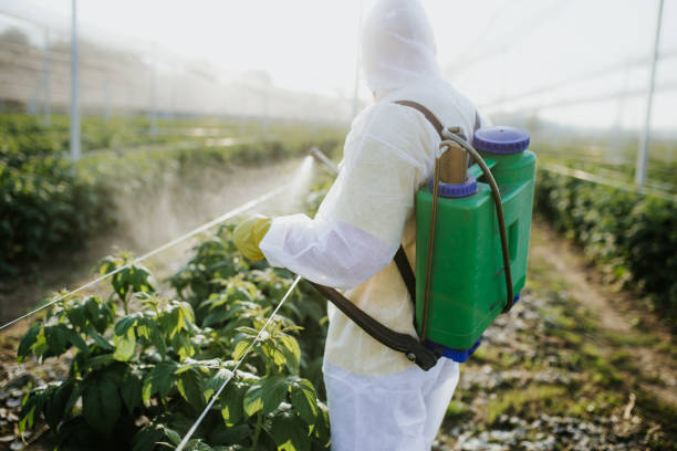 Best Mosquito Control Services  in West Deland, FL